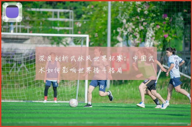 深度剖析武林风世界杯赛：中国武术如何影响世界格斗格局