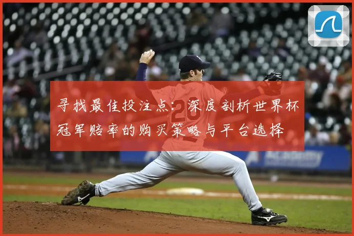 寻找最佳投注点：深度剖析世界杯冠军赔率的购买策略与平台选择