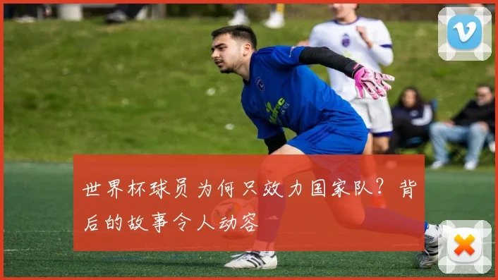 世界杯球员为何只效力国家队?背后的故事令人动容