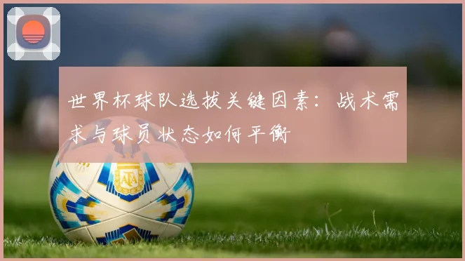 世界杯球队选拔关键因素:战术需求与球员状态如何平衡