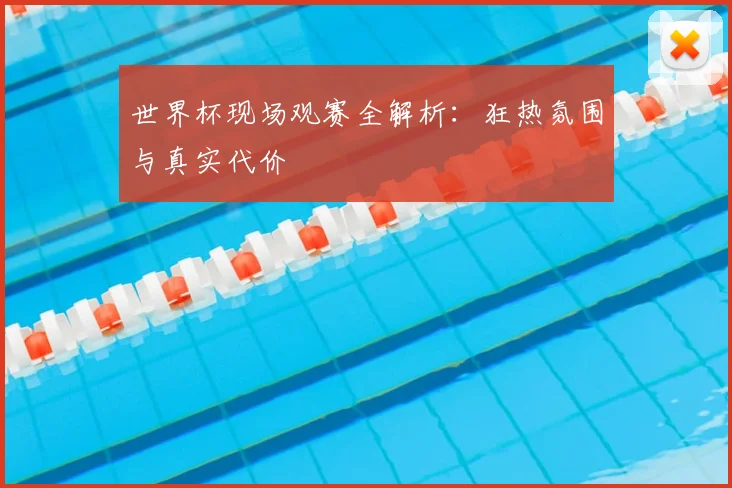 世界杯现场观赛全解析:狂热氛围与真实代价