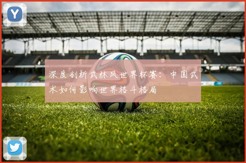 深度剖析武林风世界杯赛：中国武术如何影响世界格斗格局