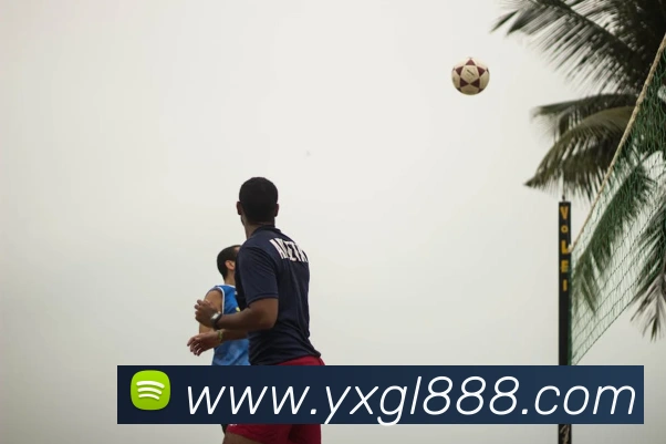 多媒体互动体验